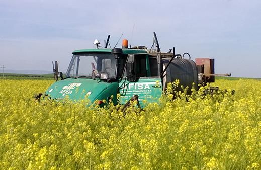 Afisa - Camión en un campo agrícola